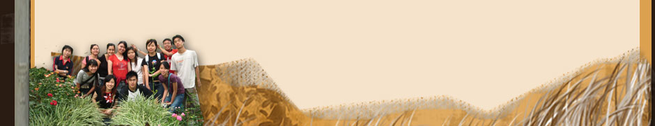 region image