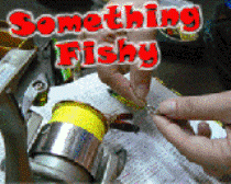 somethingfishy